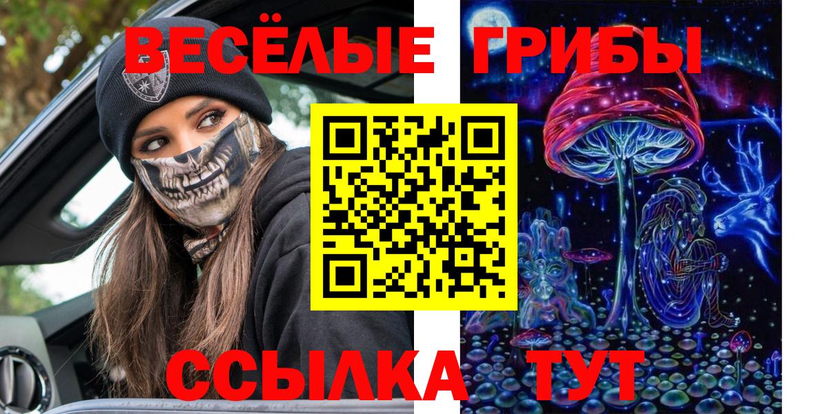 Галлюциногенные грибы Psilocybe Еманжелинск